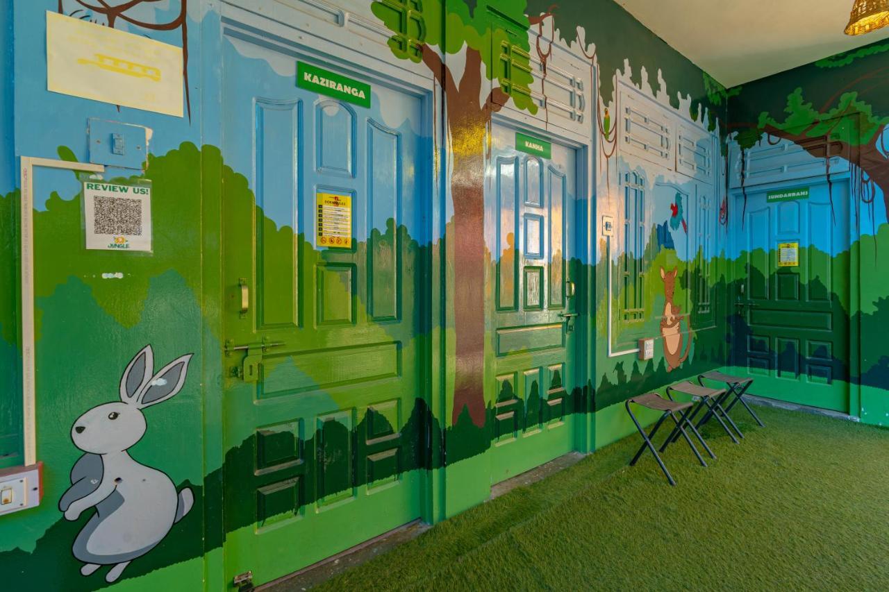 Jungle Hostel By Whoopers كاسول المظهر الخارجي الصورة