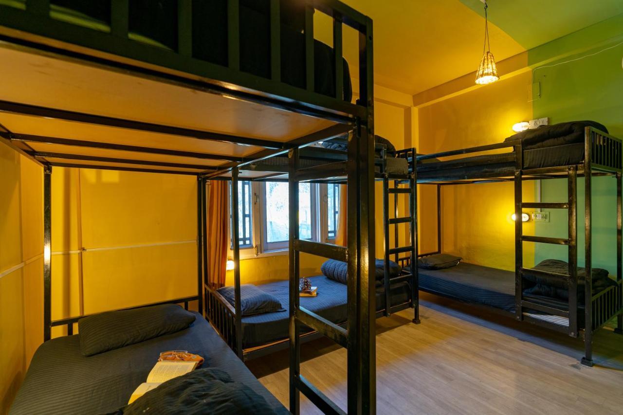 Jungle Hostel By Whoopers كاسول المظهر الخارجي الصورة