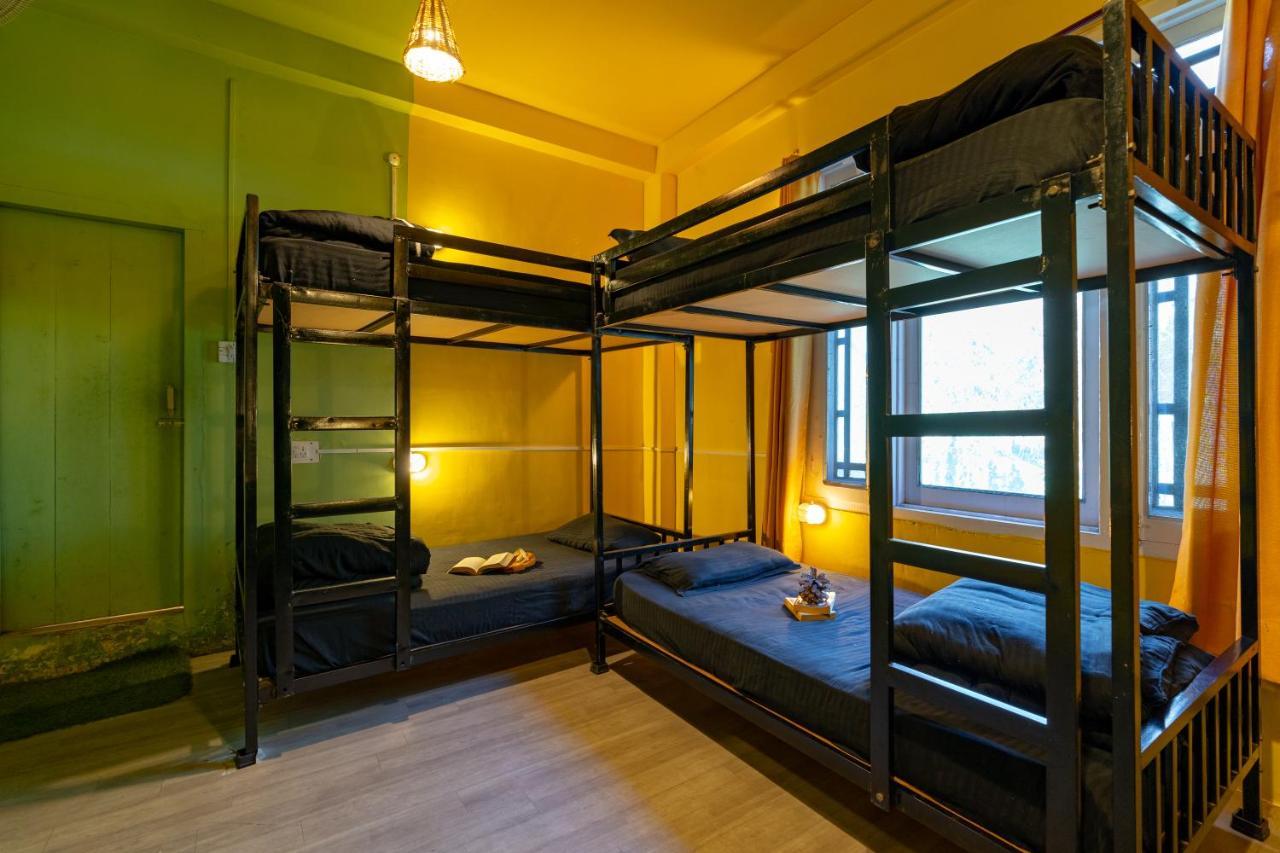 Jungle Hostel By Whoopers كاسول المظهر الخارجي الصورة