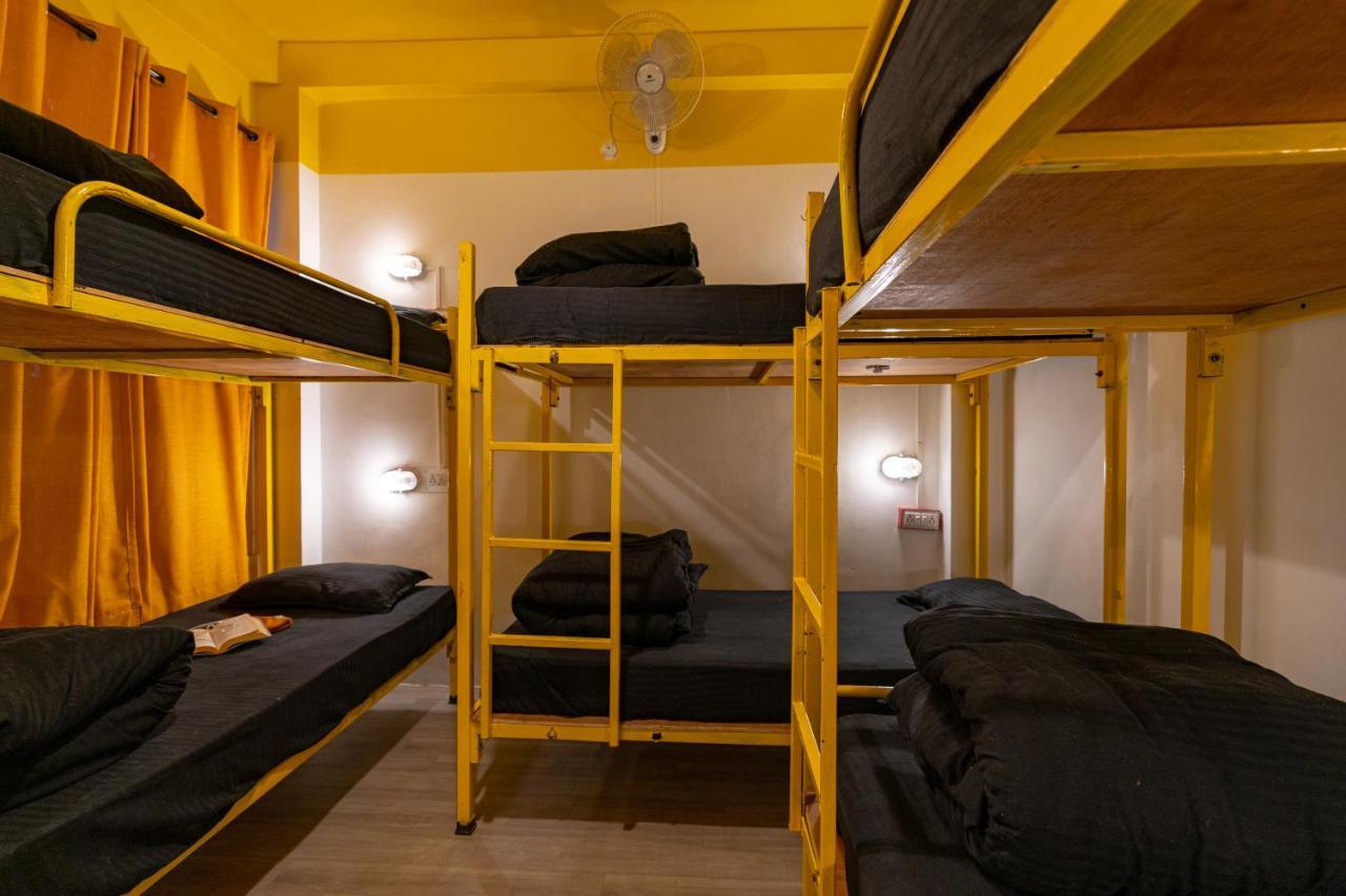 Jungle Hostel By Whoopers كاسول المظهر الخارجي الصورة