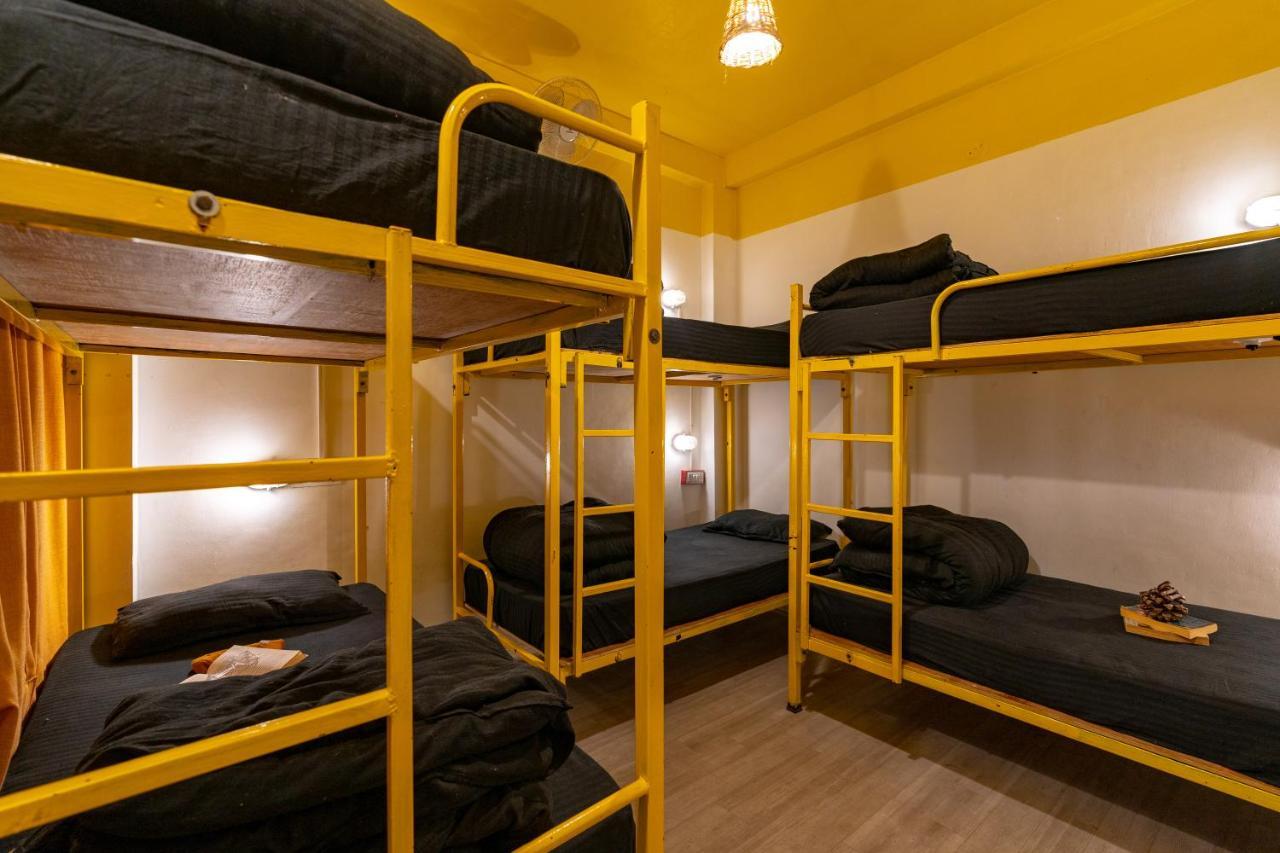 Jungle Hostel By Whoopers كاسول المظهر الخارجي الصورة