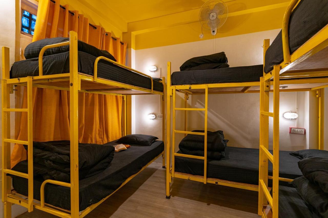 Jungle Hostel By Whoopers كاسول المظهر الخارجي الصورة