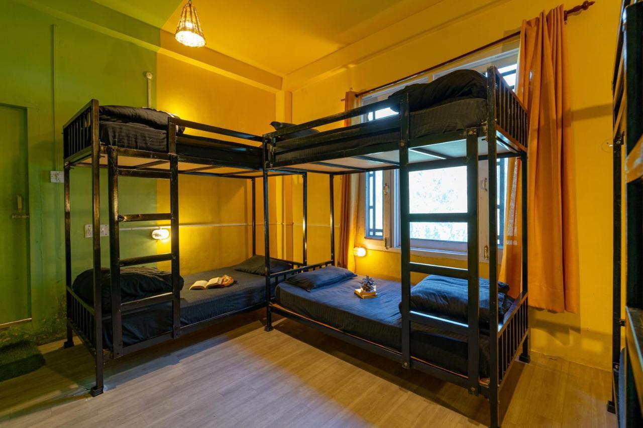 Jungle Hostel By Whoopers كاسول المظهر الخارجي الصورة