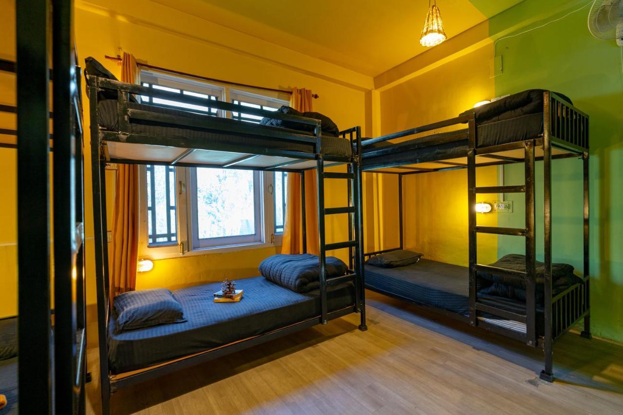 Jungle Hostel By Whoopers كاسول المظهر الخارجي الصورة