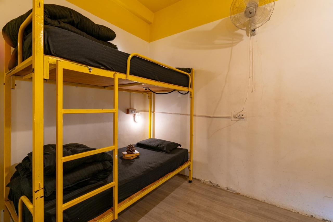 Jungle Hostel By Whoopers كاسول المظهر الخارجي الصورة